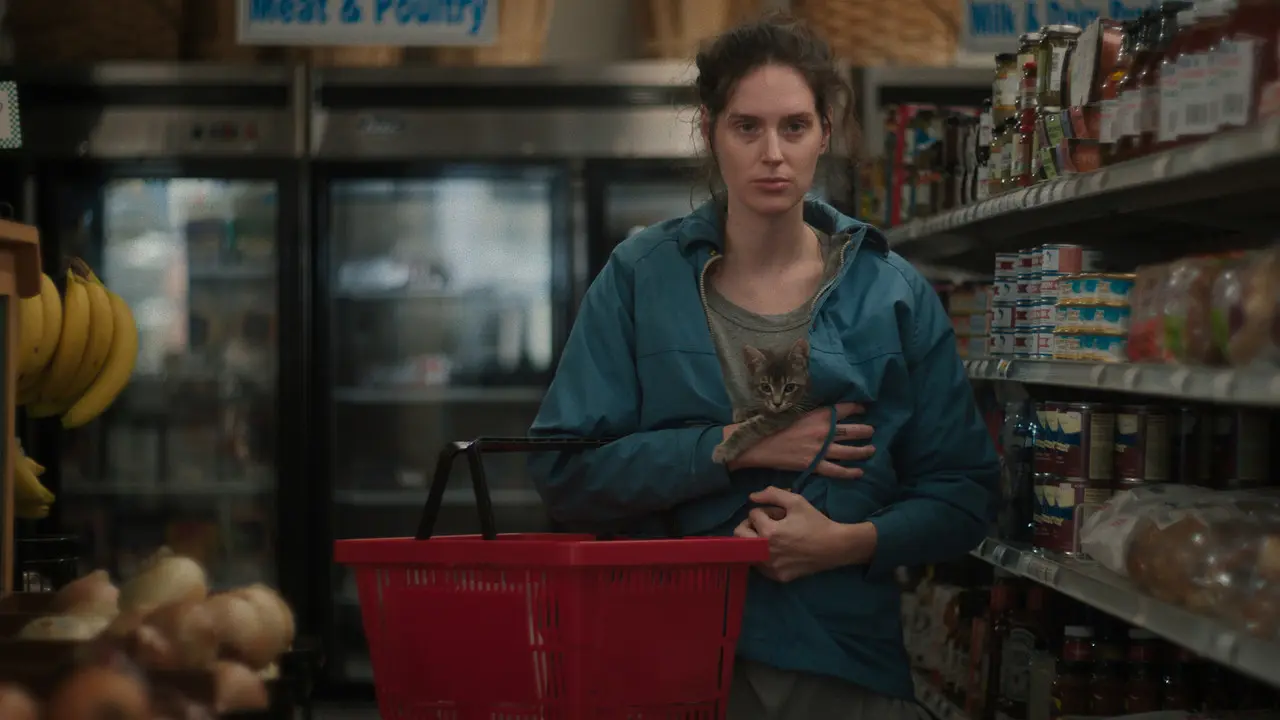 Sorry Baby