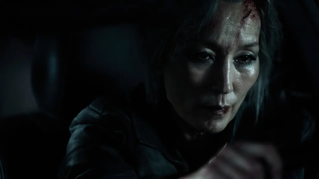 The Old Woman with a Knife