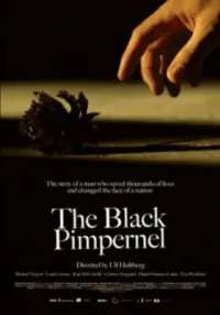 Black Pimpernel